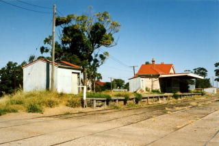nk06