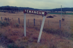 Temangum