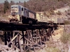 wy01