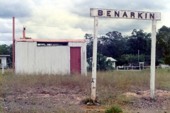 Benarkin