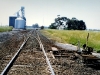 Berrybank