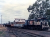 3Bigden_004