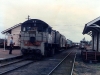 3Bigden_005