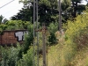 Melb_250111_218
