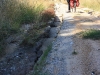Linton_181