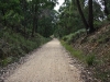 Linton_194