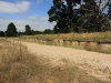 Linton_198