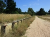Linton_199