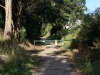 Vic_240111_184