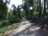 Vic_240111_187