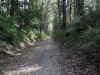 Vic_240111_193