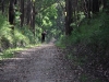 Vic_240111_194