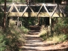 Vic_250111_203
