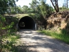 Warburton_336