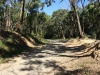 Warburton_337