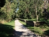 Warburton_346