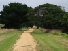 Vic_240111_147