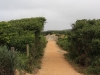 Vic_240111_155