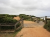 Vic_240111_156