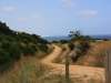 Vic_240111_170