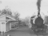 983-borallon