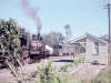 983_1901_borallon