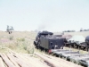 137-c17-917-nukku-291169