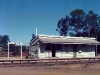 Brow_001