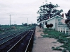 11-bungaree-tue-6-11-84-1