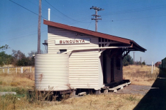 Bungunya