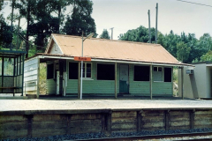 Bunyip