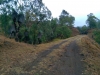 IMAG0177