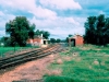 12-carisbrook-wed-22-8-85