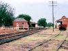 15-newstead-tue-8-1-85