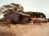 cd09