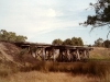 cd11