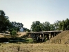 cd12