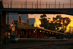 Cootamundra 