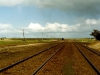 The remains of the yard