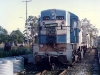 dv04
