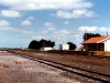 looking west