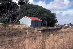Bellarine Line