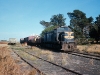 T368 Drysdale
