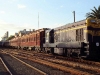 echuca-1997-brian-fletcher