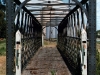 Elmore_008