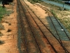 Elmore_012