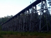 P1000343