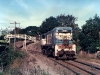 gympie_0003