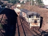 gympie_0007