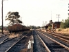 Iwood_006
